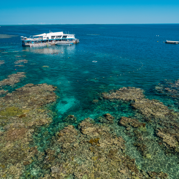 Reef Magic_Pontoon with Great Barrier Reef Reef Magic_Pontoon with Great Barrier Reef