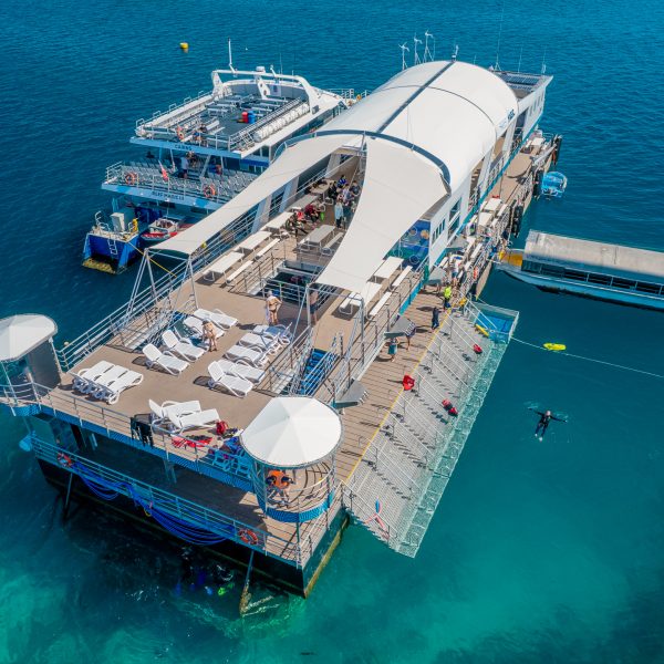 Reef Magic Pontoon-60 Reef Magic_Back of Pontoon