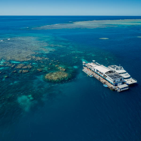 Reef Magic_Pontoon_DroneShot Reef Magic_Pontoon_DroneShot